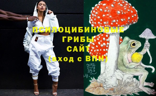МДПВ Пестово
