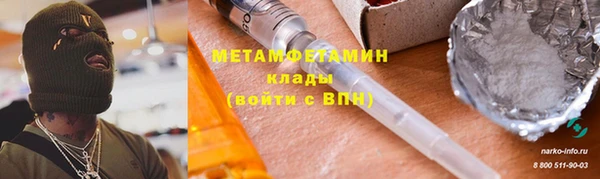 прущие грибы Покачи