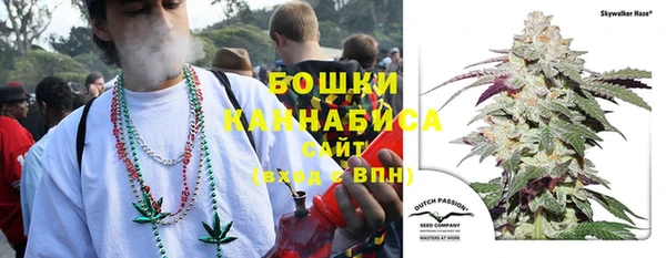 МДПВ Пестово