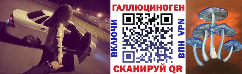 Галлюциногенные грибы MAGIC MUSHROOMS  даркнет сайт  Кыштым 