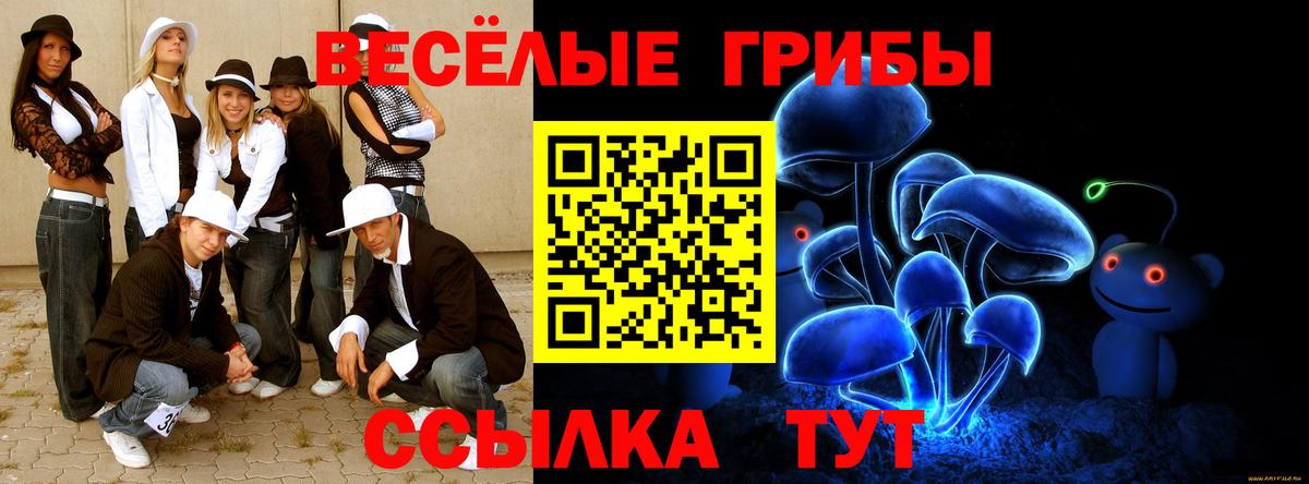 Кыштым  Галлюциногенные грибы Psilocybine cubensis  Вход с VPN 