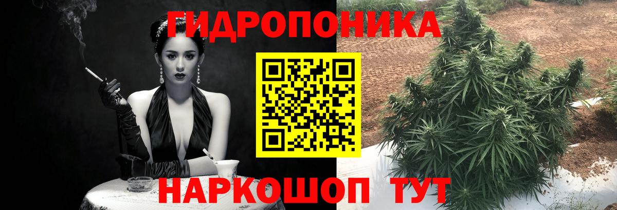 Каннабис MAZAR Кыштым